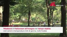 Meteo stabile ad Halloween, temperature miti e piogge al sud - Video