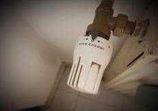 Valvola del termosifone - Adnkronos