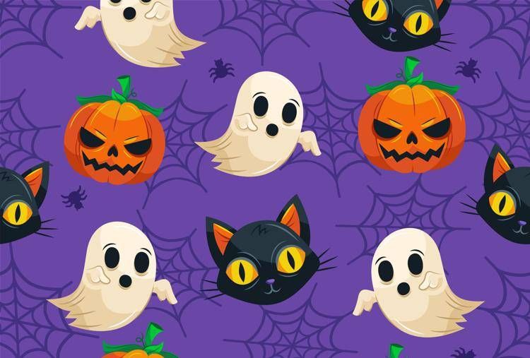 Halloween - (Foto )