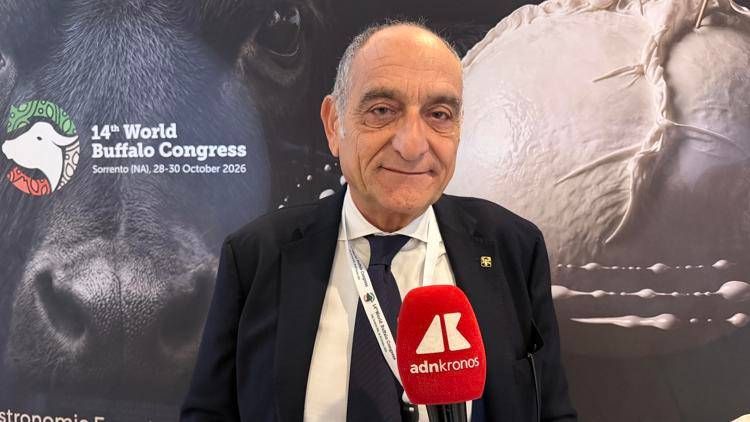 Giuseppe Campanile - (foto Adnkronos)