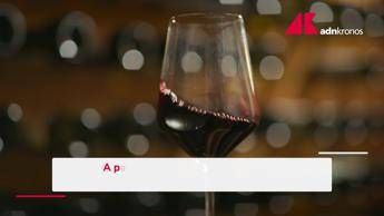 Il vino italiano rilancia la sfida negli Stati Uniti - Video