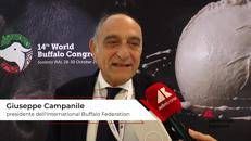 Campanile (International Buffalo Federation): 