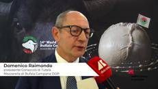 Raimondo (Consorzio Tutela Mozzarella di bufala campana Dop): 