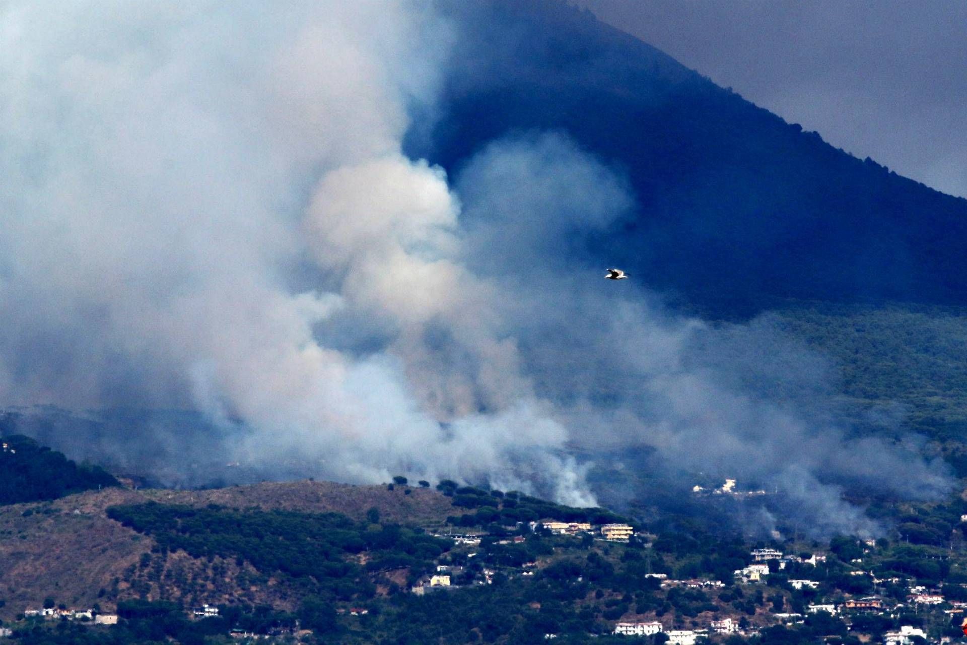 Αποτέλεσμα εικόνας για Vesuvio