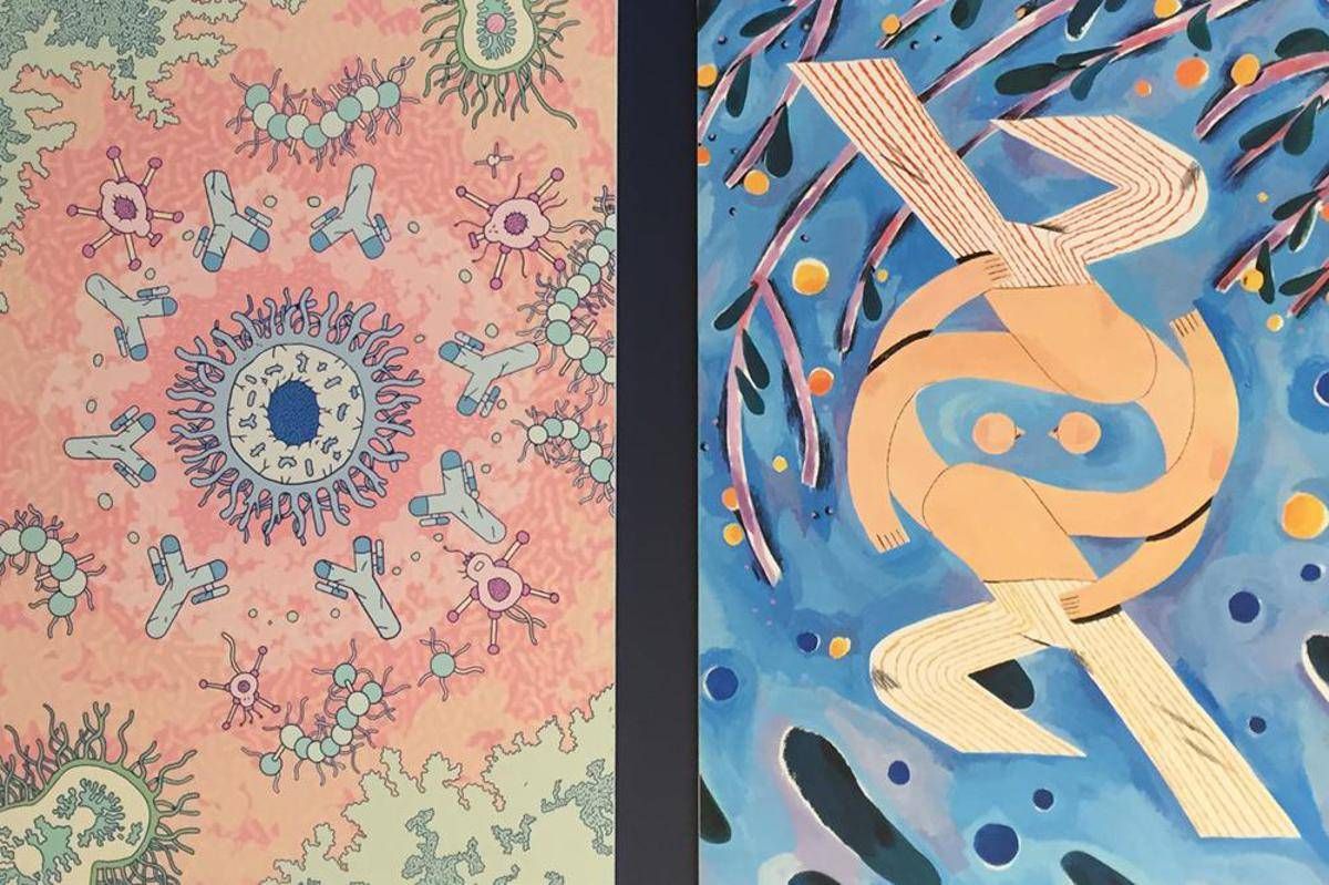 Immunoterapia musa per l'arte, mostra in tour debutta a Milano
