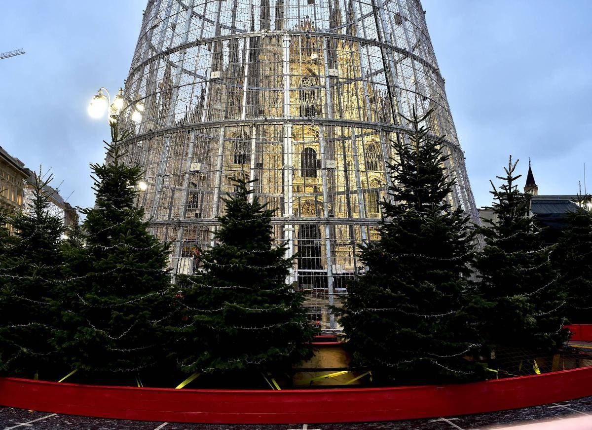 Albero Di Natale Milano 2019.Consigliere M5s Albero Di Natale A Milano E Gabbia Per Piccioni