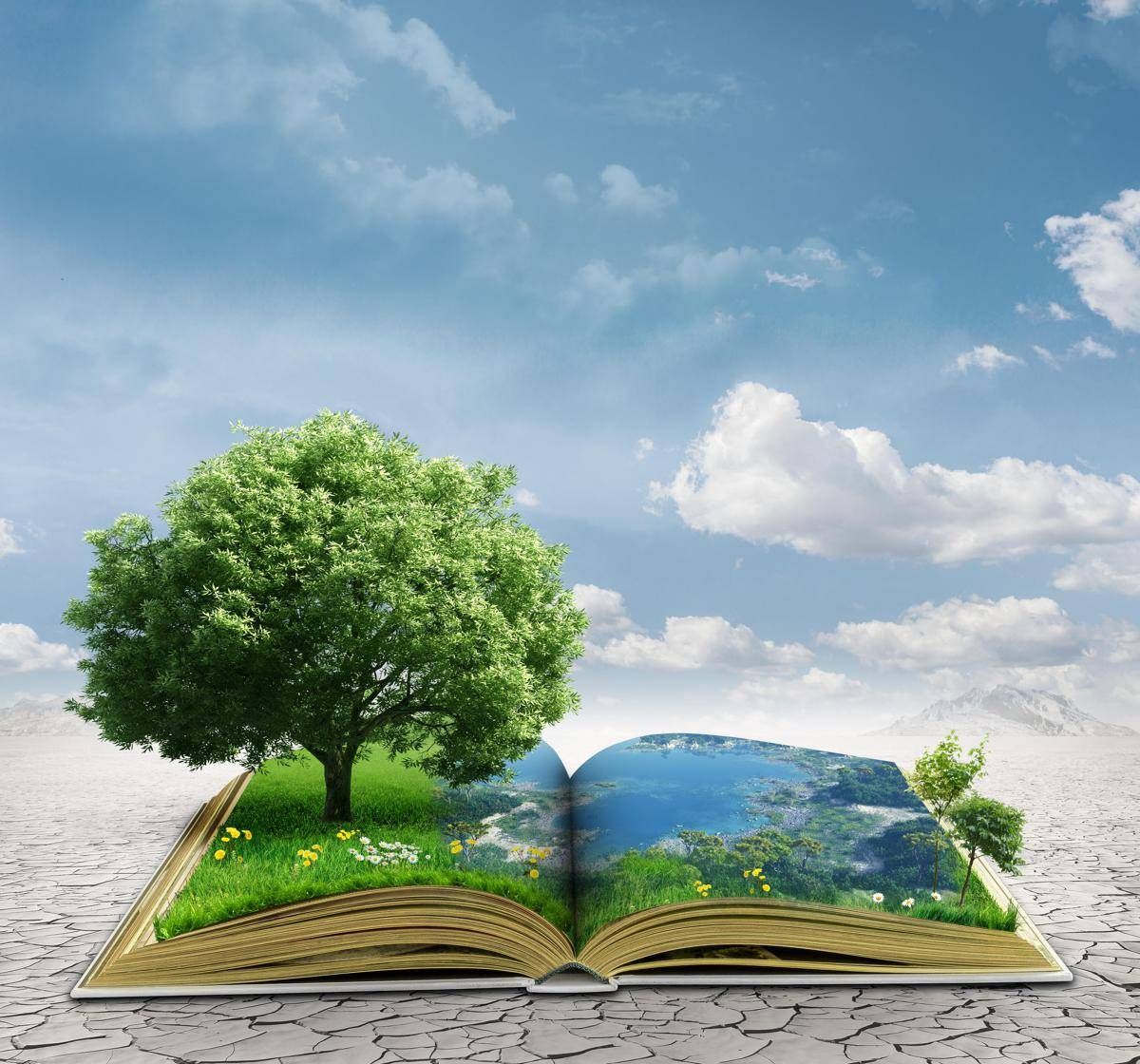 Sostenibilità: Europa e Agenda 2030, a che punto siamo