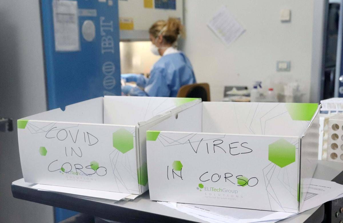 Fase 2 Appello 150 Scienziati Fare Subito Tamponi A Tappeto