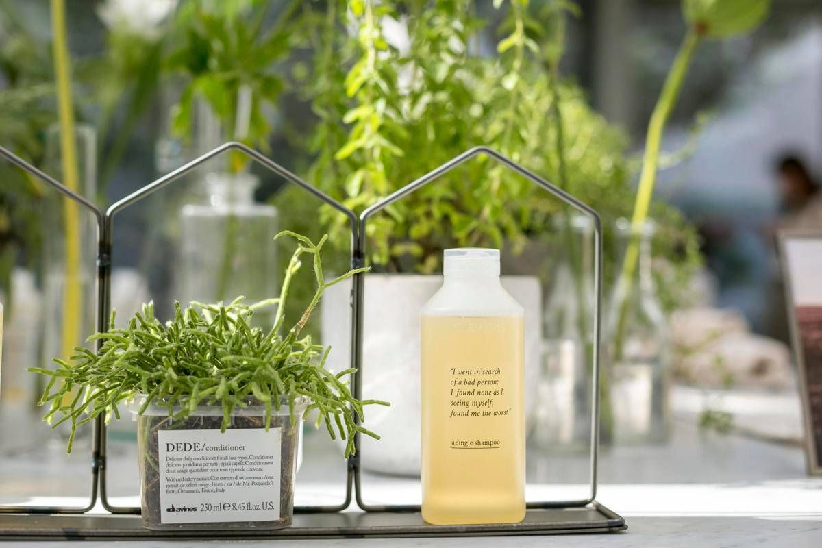 Davines E La Sua Parma Green Arriva L Alleanza Co2 Neutral