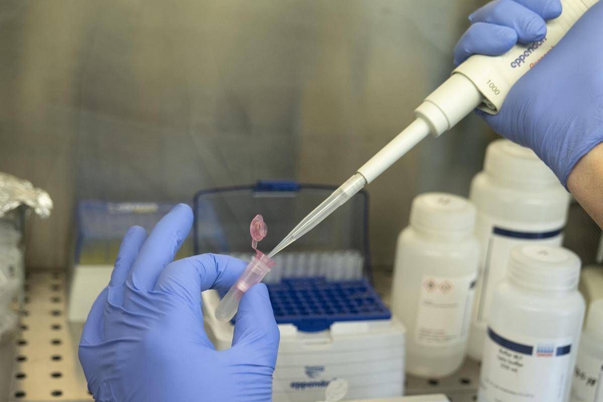 Coronavirus 91enne Positiva A Cosenza Dopo Tre Tamponi Negativi A