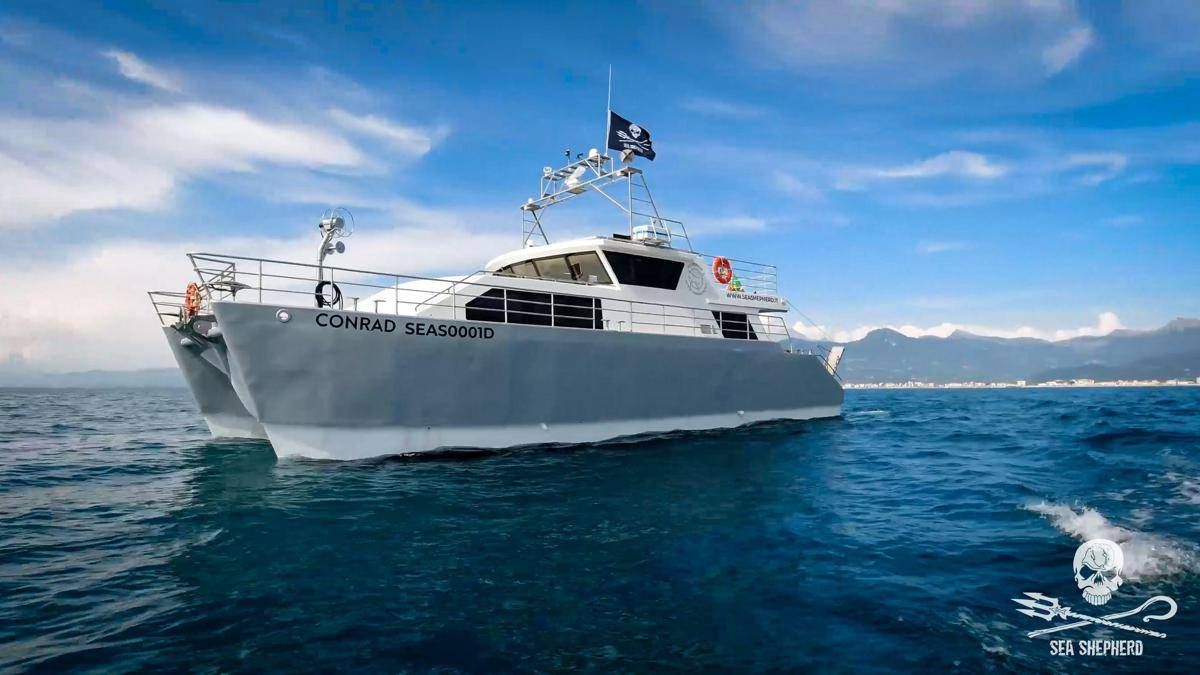Mare Operazione Siso Sea Shepherd Torna A Difendere Il Mediterraneo