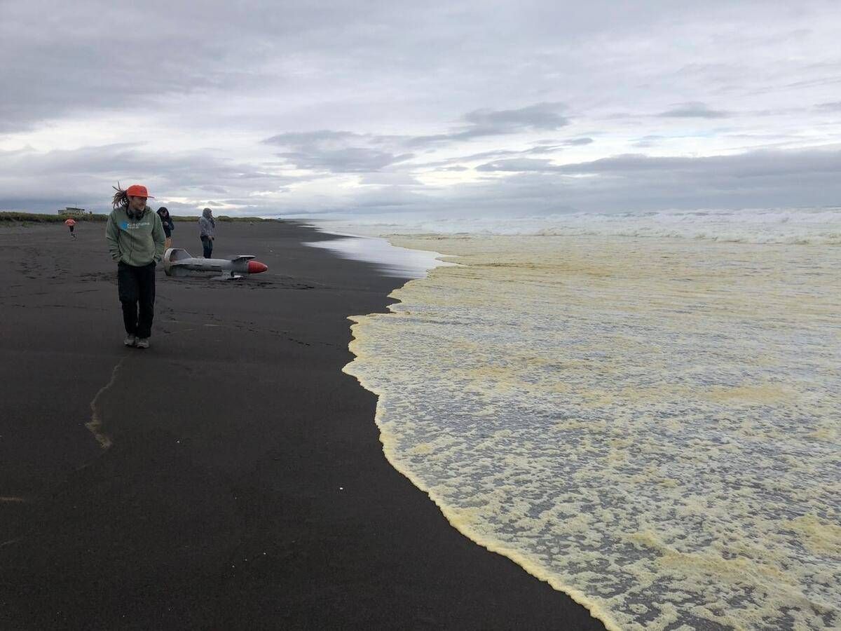 Russia: Greenpeace, disastro ambientale in corso in Kamchatka