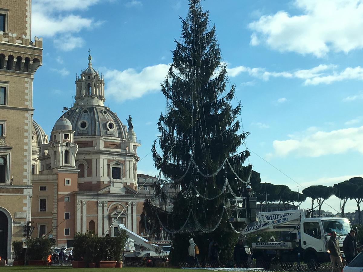 Albero Di Natale Roma.Roma Restyling Per L Albero Di Natale A Piazza Venezia