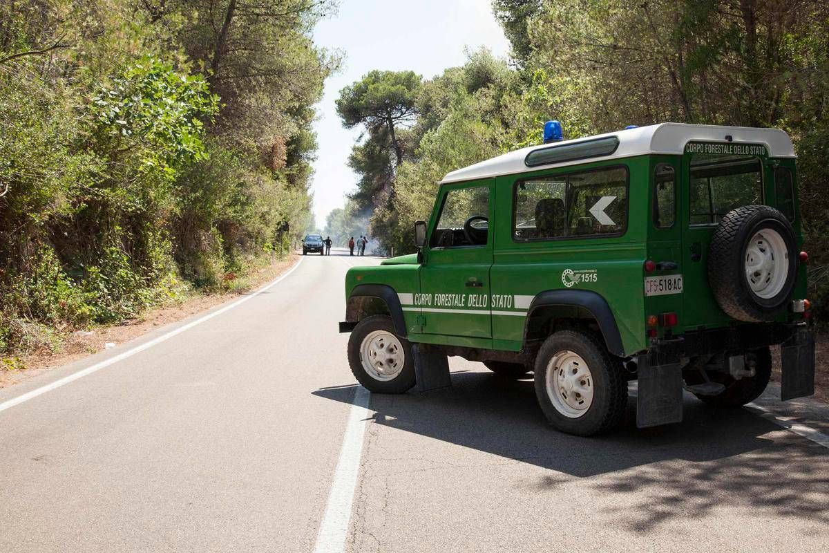 Forestale Verso L Addio Al Corpo Storico Ma Resteranno Gli Autonomi