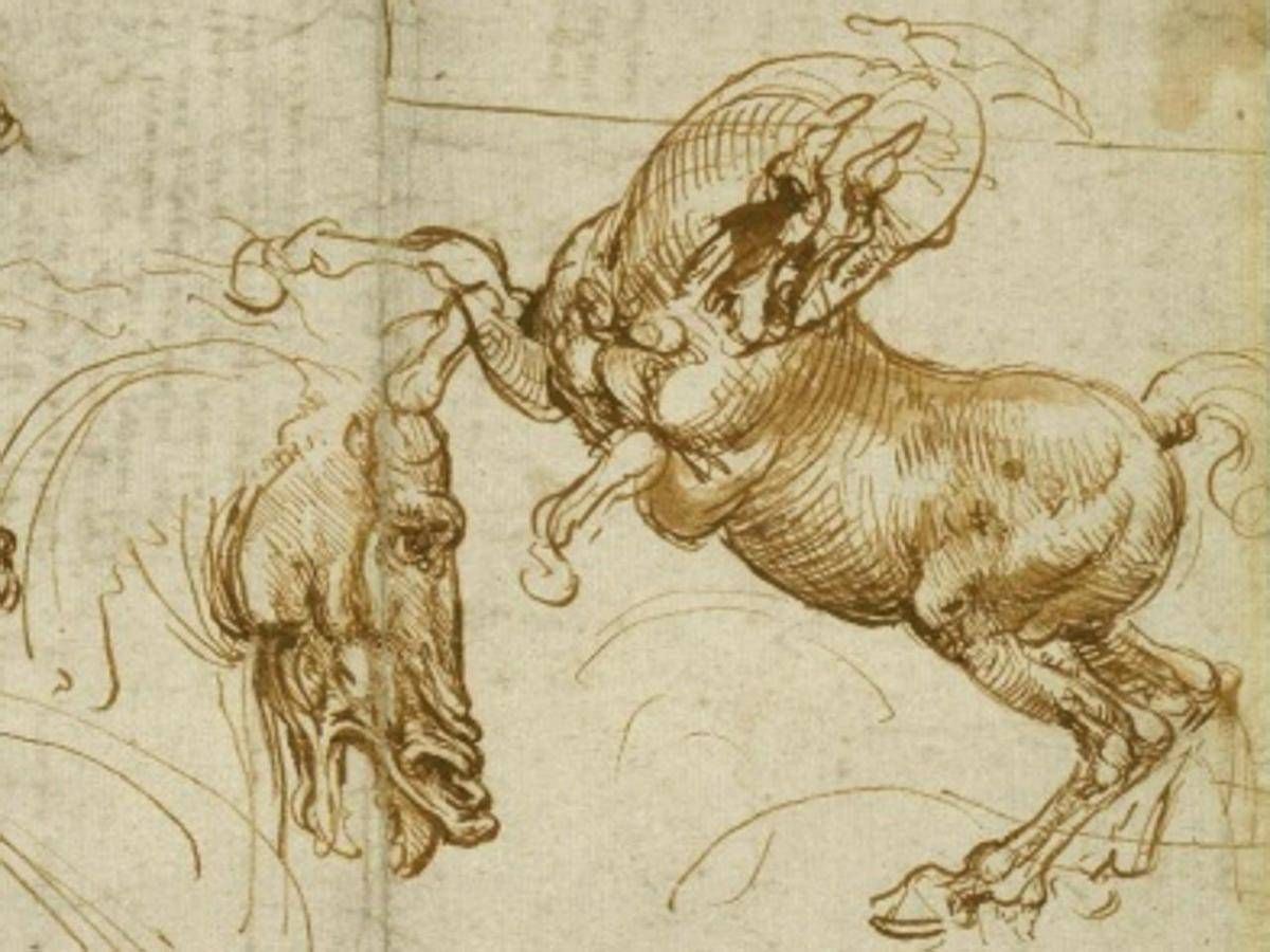 Leonardo Da Vinci Lessons Tes Teach