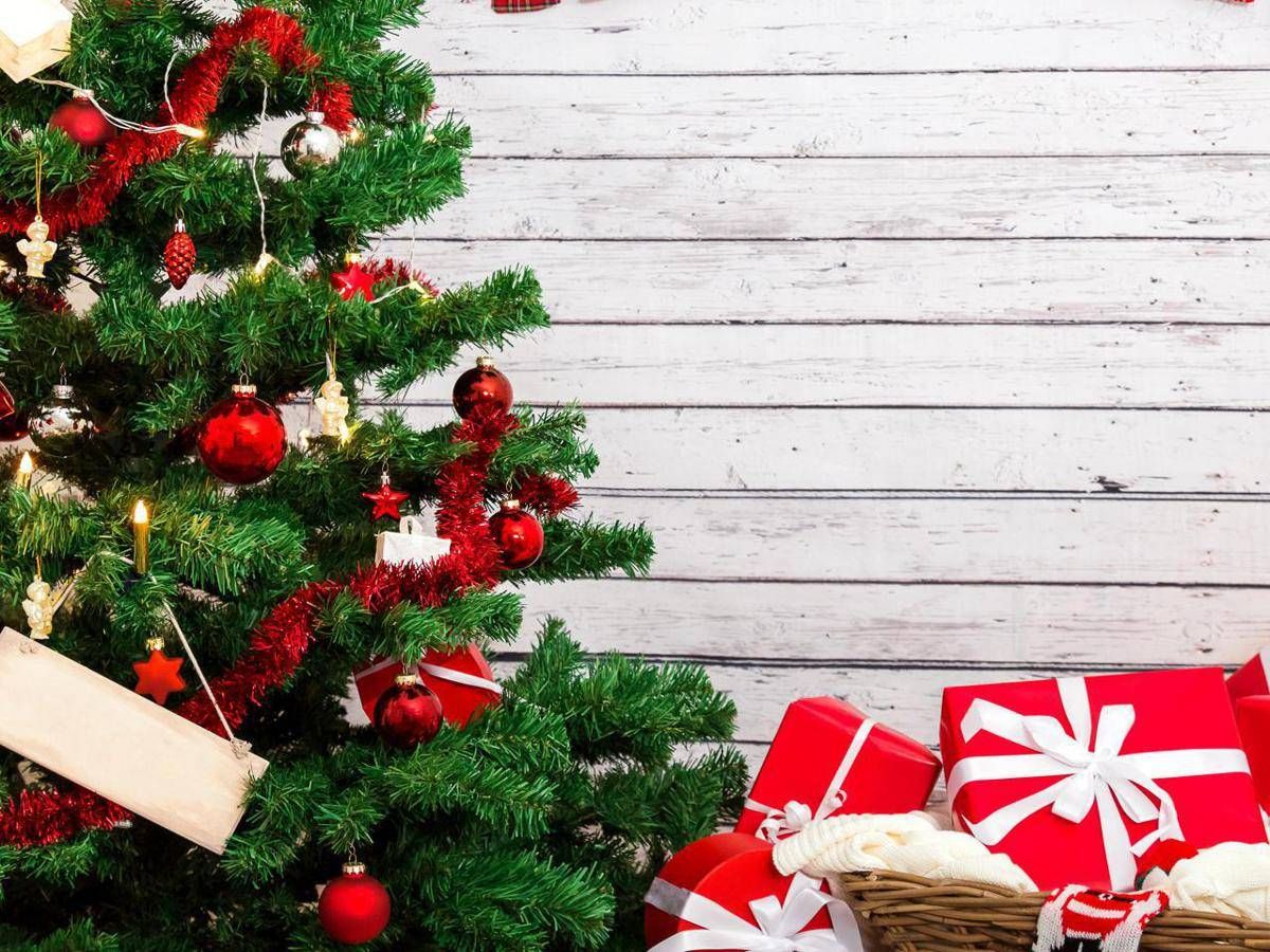 A Natale Vince Albero Sintetico Ma Quello Vero Sempre Piu Piccolo