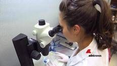 Coronavirus, ricostruita la mutazione: 