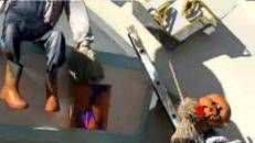 Il mostruoso divertimento di Halloween sbarca a Mirabilandia