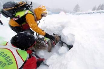 Valanga nel cuneese, muore scialpinista Valanga nel cuneese, muore scialpinista