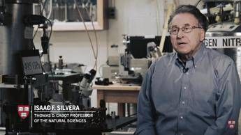 Creato ad Harvard idrogeno metallico, è la prima volta al mondo Creato ad Harvard idrogeno metallico, è la prima volta al mondo