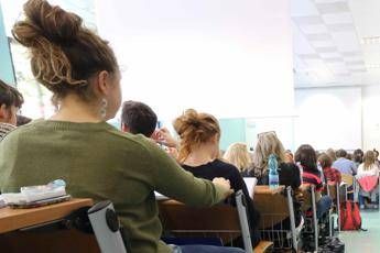 Docenti universitari a governo: Studenti scrivono male in italiano Docenti universitari a governo: Studenti scrivono male in italiano