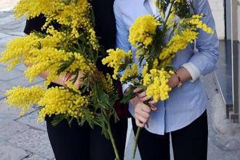 8 marzo, perché si festeggia 8 marzo, perché si festeggia