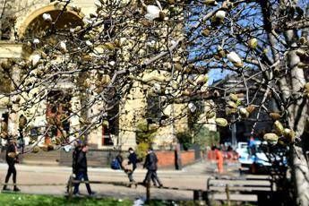 Stress e stanchezza da primavera in agguato, come difendersi Stress e stanchezza da primavera in agguato, come difendersi