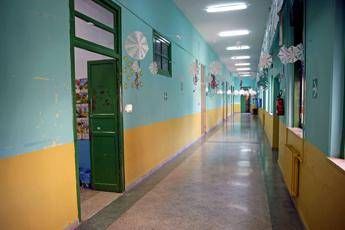 Panico a Palermo, cinghiale irrompe in una scuola Panico a Palermo, cinghiale irrompe in una scuola