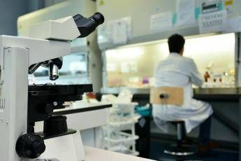 Antiossidanti 'bloccano' il Parkinson Antiossidanti 'bloccano' il Parkinson