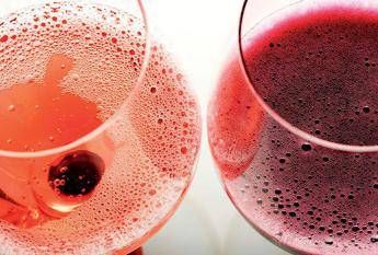 Modena festeggia il Lambrusco, il vino più bevuto in Italia Modena festeggia il Lambrusco, il vino più bevuto in Italia