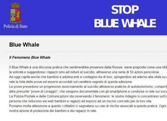 Blue Whale, arriva il pulsante stop Blue Whale, arriva il pulsante stop