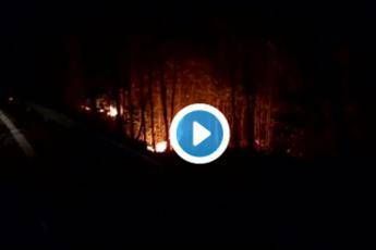 Portogallo, il video dell'inferno di Pedrogao Portogallo, il video dell'inferno di Pedrogao
