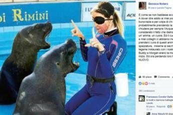 Chiude il delfinario, ho perso tutto: Gessica Notaro insultata su Fb Chiude il delfinario, ho perso tutto: Gessica Notaro insultata su Fb