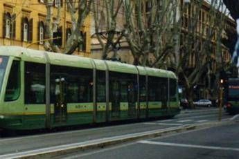 Ramo trancia cavi tram, tragedia sfiorata a Roma Ramo trancia cavi tram, tragedia sfiorata a Roma