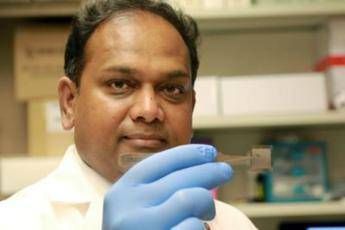 Dagli Usa un chip per riparare ferite e organi Dagli Usa un chip per riparare ferite e organi
