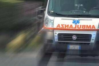 Cagliari, crolla un pino al parco tra i bimbi: 5 feriti Cagliari, crolla un pino al parco tra i bimbi: 5 feriti