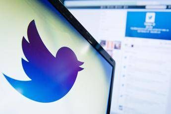 Le parole 'perdute' della natura, solo l'1% associa 'tweet' al cinguettio degli uccelli Le parole 'perdute' della natura, solo l'1% associa 'tweet' al cinguettio degli uccelli