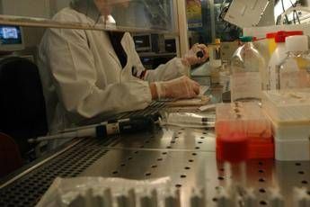 Nuova arma contro l'artrite reumatoide Nuova arma contro l'artrite reumatoide