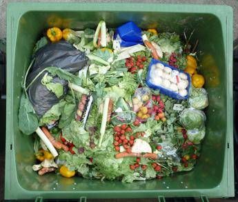 A Napoli sprecate 745 tonnellate di cibo l'anno A Napoli sprecate 745 tonnellate di cibo l'anno