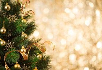 'Onorevole Natale', ecco il canto bipartisan di deputati e senatori 'Onorevole Natale', ecco il canto bipartisan di deputati e senatori