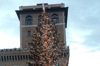 Spelacchio Addio Arriva L Albero Netflix