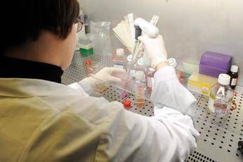 Virus Cina, scienziati Usa al lavoro per vaccino Virus Cina, scienziati Usa al lavoro per vaccino