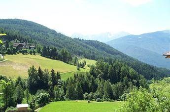 Un premio per le Comunità Forestali Sostenibili Un premio per le Comunità Forestali Sostenibili