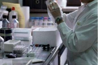 Coronavirus, anticorpi arma versatile per profilassi e terapia Coronavirus, anticorpi arma versatile per profilassi e terapia