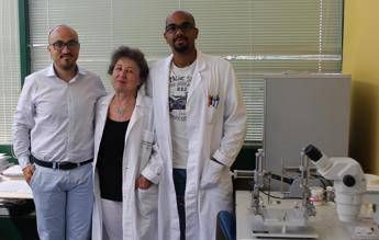 Nanotubi di carbonio per monitorare il cervello Nanotubi di carbonio per monitorare il cervello