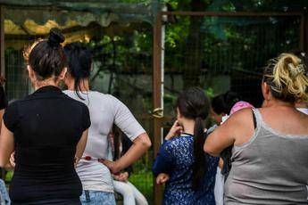 Zingari zecche, assessora leghista insulta i rom Zingari zecche, assessora leghista insulta i rom