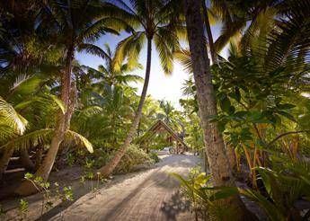 Sull'isola di Marlon Brando l'eco resort che produce miele bio Sull'isola di Marlon Brando l'eco resort che produce miele bio