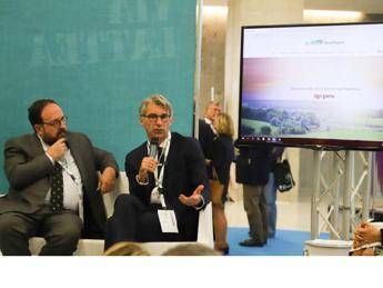 Da oggi una nuova comunicazione digitale per la sostenibilità: nasce l'OpenReport di LGH Da oggi una nuova comunicazione digitale per la sostenibilità: nasce l'OpenReport di LGH