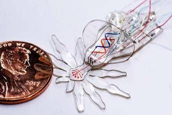 Mini-ragno robot rivoluzionerà la chirurgia Mini-ragno robot rivoluzionerà la chirurgia