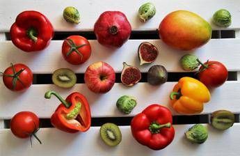 Agriturismi vegani, cresce la domanda Agriturismi vegani, cresce la domanda